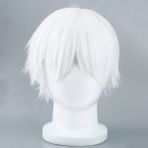 Cosplay Karakterleri Için Erkek Beyaz Peruk Düz Kısa Sentetik Peruklar (Yurt Dışından)