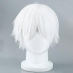 Cosplaying Anime Karakterleri Için Erkek Beyaz Peruk Düz Kısa Sentetik Peruklar (Yurt Dışından)