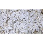 Çotanaklar Kafes Kalamar Kemiği Kırık Toz 500 gr