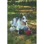 Coto Grey Loop Ball 11Cm Çekmeli Örgü Top Oyuncak (3 Paketi)