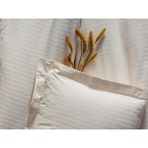 Cotton Box %100 Pamuk Saten Çift Kişilik Nevresim Takımı - Ekru Rengi & Çizgili Şık Nevresim Seti - 200 x 220 cm - Renkli