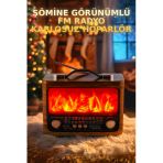 Coverzone Am/Fm/Sw 4 Bantlı Radyo Usb Tf Bt Müzik Çalar Ateş Işıklı Subwoofer Kablosuz Hoparlör | 821