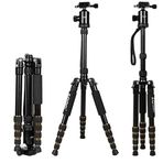 Coverzone Profesyonel Kamera Tripodu 360° Bilye Başlık 38mm Panoramik Ölçek Hızlı Bırakma Plakası 13kg Taşıma Kapasiteli 3 Kademeli Açı Ayarı, Telefon Tutucu Uzaktan Kumanda | Zomei Z669