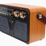 Coverzone Retro Radyo Taşınabilir Bluetooth Speaker Ve Hoparlör Ahşap Kaplama Kumandalı Klasik Antika Tarzı İç ve Dış Mekan Multiband USB Girişli Dekoratif CV-5070BT (CV-5070BT Koyu Kahverengi)