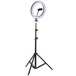 CoverZone Youtuber LED Selfie Işığı Telefon Tutuculu Tripod 10 Inç 2.1 m