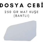 Çözüm Kağıt Dosya Cebi 250 gr Mat Kuşe Bantlı 250 Adet