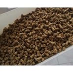 CP Yem 25 kg Tavuk Yumurta Yemi Pelet Yem Yumurta Verimini Artıran Pelet Gezen Yumurta Yemi 25 kg
