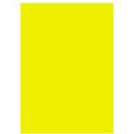CRAFT AND ARTS FON KARTONU 50x70 160 GR NEON SARI 30017696