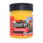 Craft Country 2500 cc 109 Sarı Akrilik Hobi Boyası