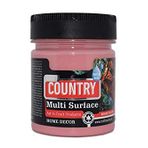 Craft Country 2500 cc 122 Gül Kurusu Akrilik Hobi Boyası