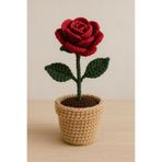 crafted by Nilüfer Mini Saksıda solmayan çiçekler ayçiçeği gül papatya lale