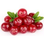 Cranberry Tohumu Turna Yemişi Tohumu 5 Adet Tohum