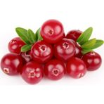 Cranberry Tohumu Turna Yemişi Tohumu Ekim Seti 5 Adet Tohum + Toprak + Saksı