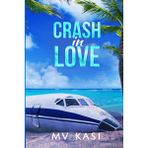 Crash in Love: An Indian Air Force Romance #1