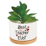 CRASPIRE Şimdiye Kadarki En İyi Öğretmen Sevimli Etli Kaktüs Bitki Saksıları Beyaz Seramik Aloe Vera Çiçek Ekici Ahşap Tepsi Drenaj Deliği İç Mekan Dış Mekan Öğretmen Takdir Ekici Mezuniyet Hediyeleri
