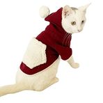 Cream Bordo Sweatshirt Kedi Süeteri Kedi Kıyafeti BORDO XXL