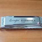 Cremonia HM10C Kromatik 10 Delikli 40 Sesli Pompalı Mızıka