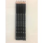 Cretacolor Studio Graphite Pencils Dereceli Kalem Seti 6'Lı