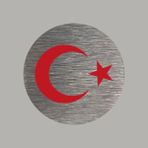 CRF Reklam Promosyon Matbaa Gerçek Metal Türk Bayrağı Gümüş Renk Logo Amblem Arkası Yapışkanlı 5 cm 1 Adet - Gri