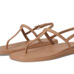 Crocs Kadın Miami Tanga Sandalet Düz, Sütlü Çikolata, 39-40 EU
