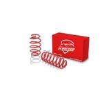 Ctk Peugeot 206 Spor Helezon Yay 35 Mm Ctk Spor Springs