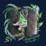 Cuaderno- Magia del bosque: La magia esta dentro de ti.
