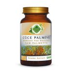 Cüce Palmiye Toz Ekstresi (Serenoa Repens)100 Gr. Cam Kavanoz