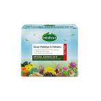 Cüce Palmiye & Yakıotu Bitkisel Harman Seti No: PR01 - 1 Paket