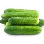 CÜCE TURŞULUK SALATALIK