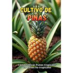 Cultivo de piñas: Cómo cultivar frutas tropicales en países no tropicales