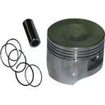 Cup100 Piston-Sekman Tk