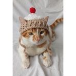 Cupcake Kek Bere Örgü Kedi Köpek Şapkası Evcil Hayvan Şapkası Pet Aksesuarları