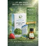 Curelive Maça Çayı Spirulina & Cehri Yeşil Çay Tozu 20 Adet Saşe + Hediye Biberiye Yağı