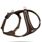 Curli Belka Comfort Harness Köpek Göğüs Tasması Kahverengi M 66-70X48 cm Tasma