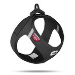 Curli Clasp Air-Mesh Siyah Medium Vest Göğüs Tasması