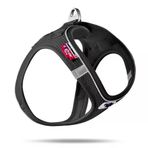 CURLI Curli Vest Air-Mesh Magnetic Köpek Göğüs Tasması SİYAH 2XS