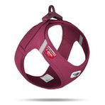 Curli Vest Harness Yakut XS 33.9x38.2 cm Köpek Göğüs Tasması