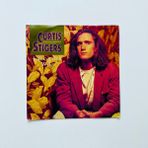 Curtis Stigers – I Wonder Why Dönem Baskı 45 Lik Plak