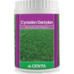Cynodon Dactylon Bermuda Çim Tohumu 500 gr