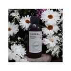 D-Aurora Fragrance 100 ml Pro Mac Meissa Koku Makinası Diffuser Esans Yağı