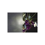 d-c-fix 276-8052 Kendinden Yapışkanlı Kumlama Görünümlü Cam Folyo (67 CM X 2 MT)