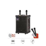 D71 Profesyonel Çift Mikrofonlu BT Kablosuz Hoparlör Bass Ses Kutusu Speaker D71