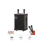 D71 Profesyonel Çift Mikrofonlu Bt Kablosuz Hoparlör Bass Ses Kutusu Speaker