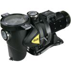 Dab Euroswim 300 T Havuz Pompası