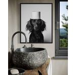 Dachshund Banyo Duvar Sanatı Baskı Poster, Köpek Evcil Hayvan Tuvalet Kağıdı Posterler Baskılar Ev Resim Resim Sanat Eseri Dekor 134 (Dachshund, 8 x 10 inç, Çerçevesiz)