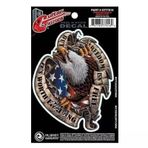 D'addario Planet Waves Gt77016 Gitar Tattoo Sticker - Freedom Eagle (Aksesuar) | Enstrüman Cilasına Zarar Vermeyen Özel Yapı, Kolay Uygulanabilir