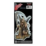 D'Addario Planet Waves Reaper 3 Skulls GT77017 Gitar Sticker