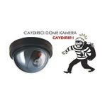 Daders Home LR-SK04 Hareket Sensörlü Pilli Caydırıcı Dome Kamera, Harekete Duyarlı Çalışan Sahte Güvenlik Kamerası - Option-1