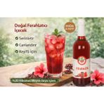 Dafa Hibiskus Suyu 750ml | Doğal Antioksidan İçecek | Ferahlatıcı & Detoks Destekleyici | Hatmi Çiçeği Özlü - 750 ml