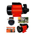 Daflong İtaly Style 100% Bakır Sargı Qb 60 0.75 Hp 0.5Kwsu Motoru Su Pompası Dinamo
